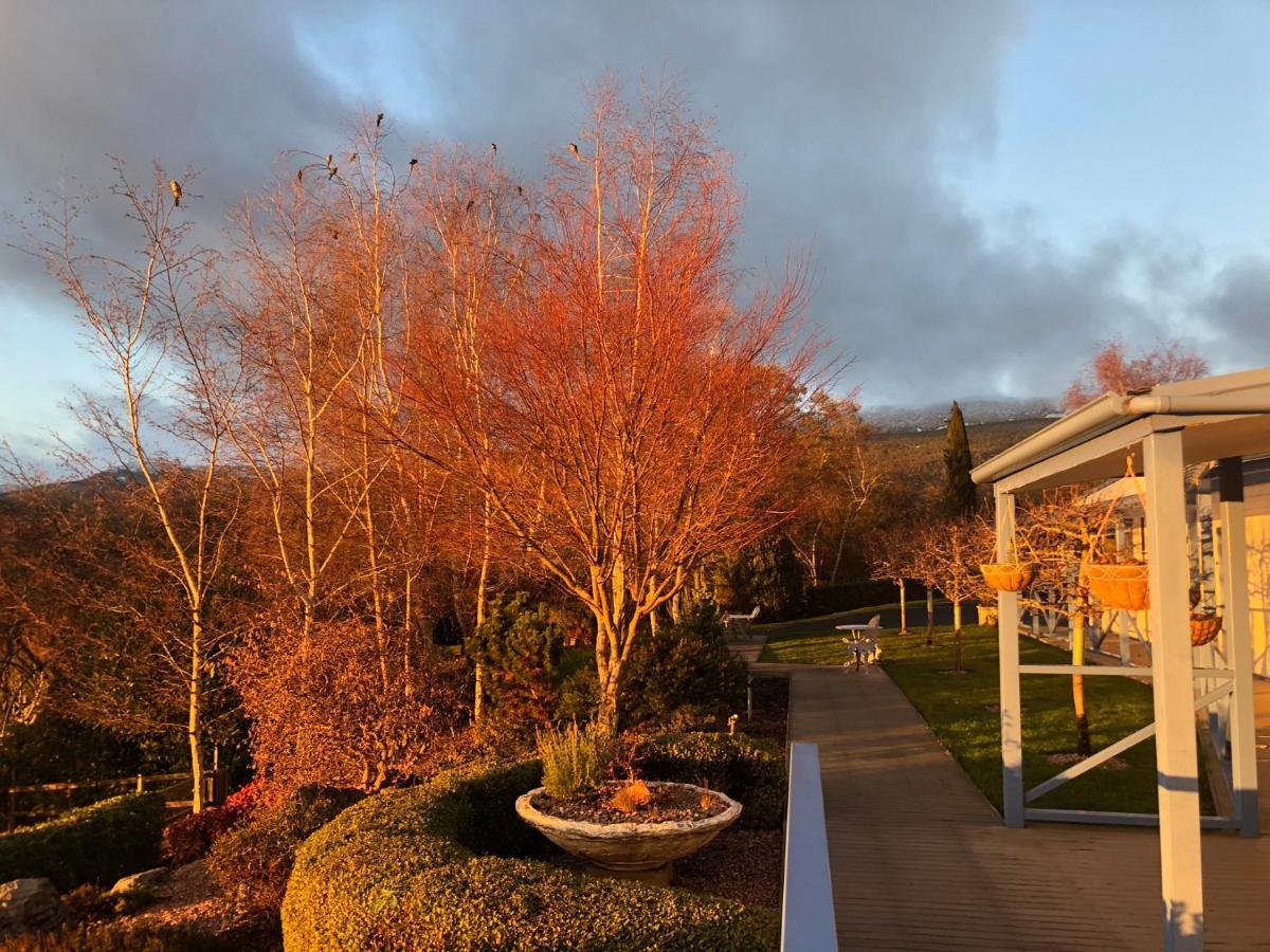 Hotel Mole Creek Hideaway Exteriér fotografie