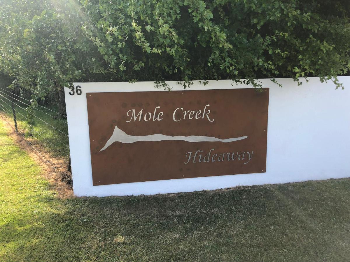 Hotel Mole Creek Hideaway Exteriér fotografie