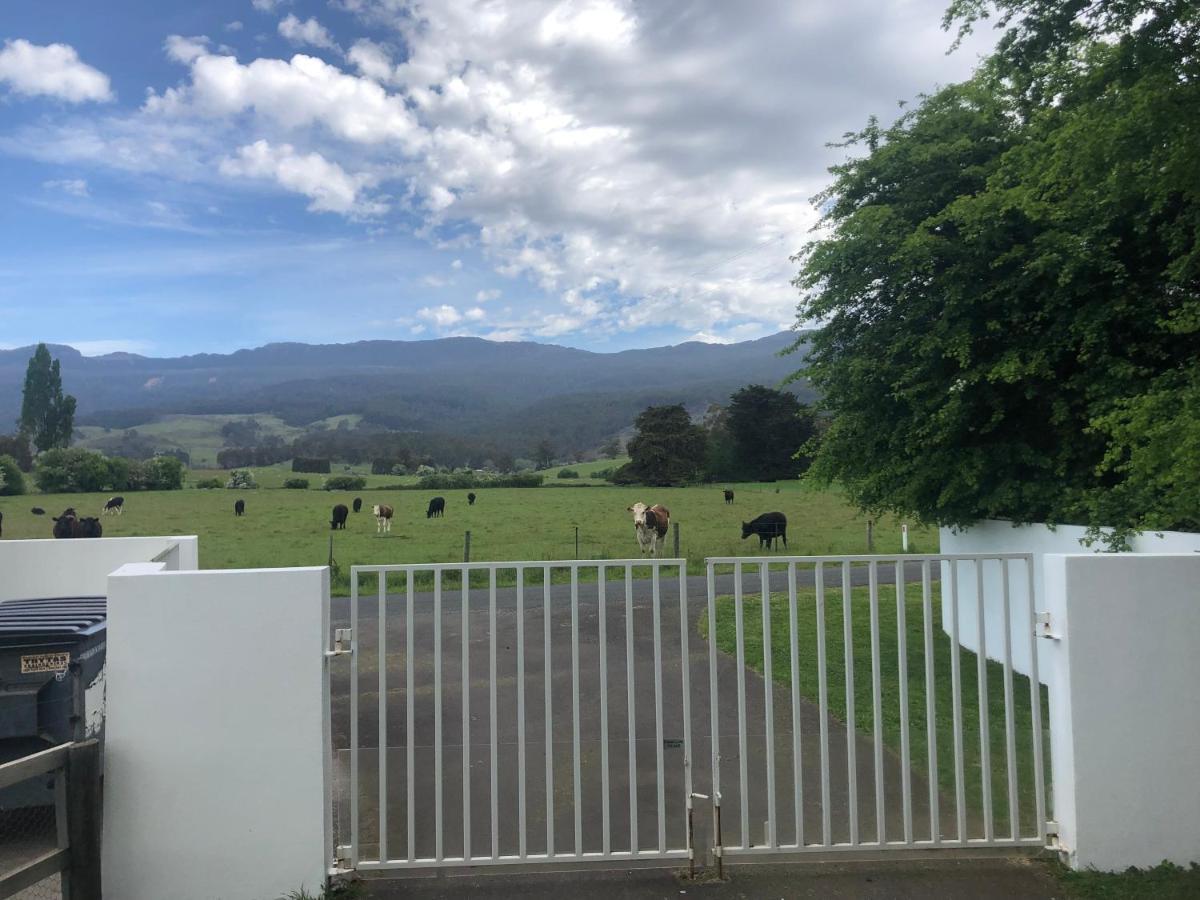 Hotel Mole Creek Hideaway Exteriér fotografie